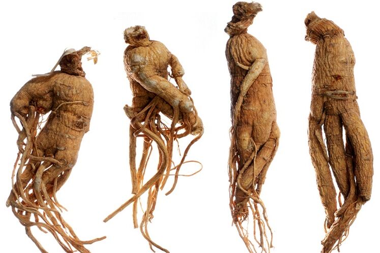 radice di ginseng per l'ingrandimento del pene